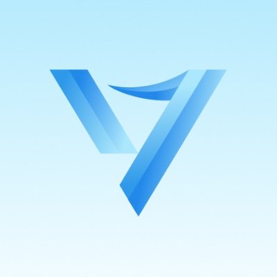 Vly.Money Wallet Logo